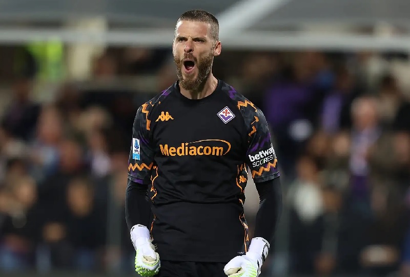De Gea có thể tái hợp MU - Ảnh 1