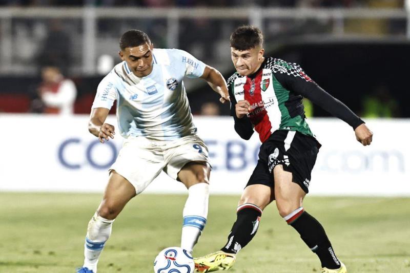 Nhận định, Soi kèo Gremio vs Torque 05h00 ngày 27/05: Đánh chiếm ngôi đầu - Ảnh 1