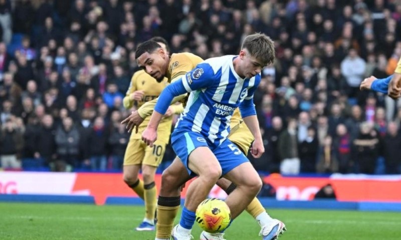 Nhận định, Soi kèo Tromso vs Brighton 0h00 ngày 21/8: Khó hạ kẻ dưới-cơ - Ảnh 1