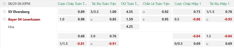 Nhận định, Soi kèo Elversberg vs Leverkusen 20h30 ngày 29/8: Hạ đẹp tân binh - Ảnh 2