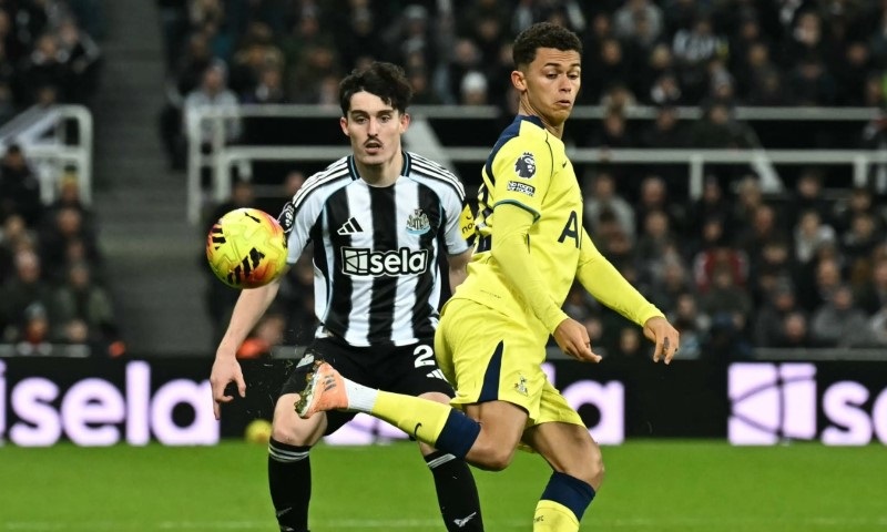 Nhận định, Soi kèo Tottenham vs Newcastle 23h30 ngày 29/8: Bẻ cựa gà - Ảnh 1