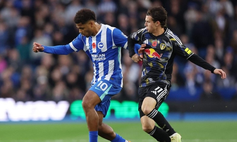 Nhận định, Soi kèo Brighton vs Leeds 21h00 ngày 5/9: Cầm chân kẻ khát thắng - Ảnh 1
