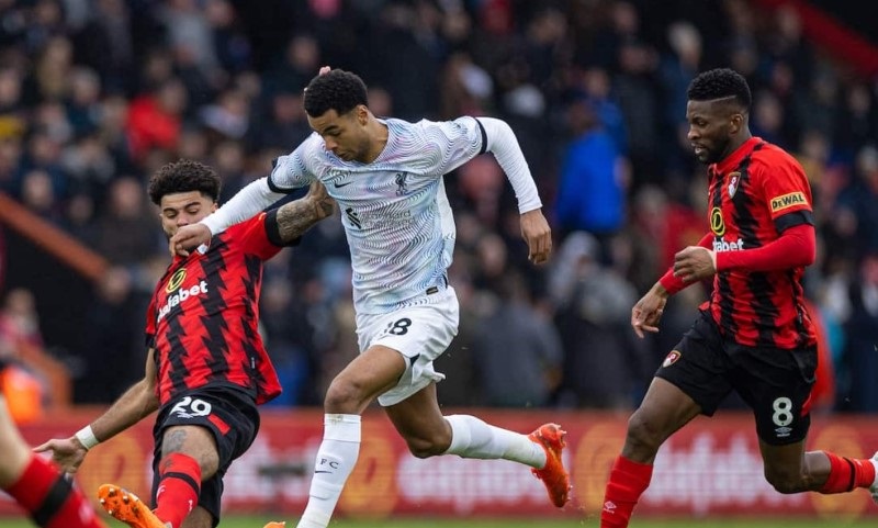 Nhận định, Soi kèo Bournemouth vs Liverpool 20h00 ngày 20/9: Chủ-khách chia điểm - Ảnh 1