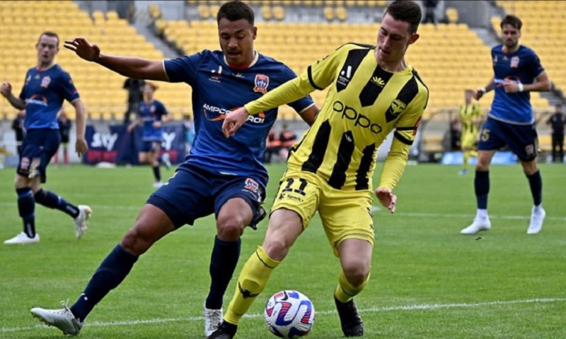 Nhận định, Soi kèo Newcastle Jets vs Wellington Phoenix 11h00 ngày 31/10: Ba điểm cho chủ nhà! - Ảnh 1