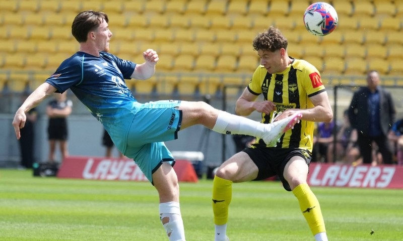 Soi kèo phạt góc Newcastle Jets vs Wellington Phoenix, 11h00 ngày 31/10 - Ảnh 1