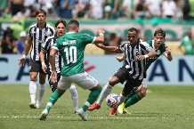 Nhận định, Soi kèo Botafogo vs Palmeiras 04h30 ngày 07/09: Xây chắc ngooid dầu