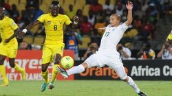 Nhận định, soi kèo Algeria vs Togo, 2h ngày 11/10