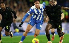 Nhận định, Soi kèo Sunderland vs Brighton 22h00 ngày 14/3: Thế trận cân bằng