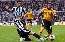 Soi kèo phạt góc Newcastle vs Wolverhampton, 21h ngày 13/09