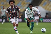 Nhận định, Soi kèo Fluminense vs Palmeiras 02h00 ngày 16/08: Khó cản đội khách