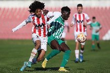 Nhận định dự đoán U23 Leixoes vs U23 Rio Ave, lúc 22h00 ngày 16/1/2024