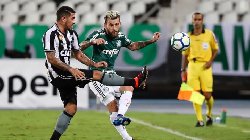 Nhận định, Soi kèo Botafogo vs Palmeiras 6h30 ngày 18/8: Ưu thế sân nhà