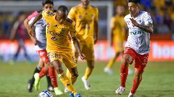 Nhận định, Soi kèo Tigres UANL vs Club Necaxa 10h ngày 18/10: Mở tiệc bàn thắng