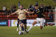 Nhận định, Soi kèo Newcastle Jets vs Macarthur, 14h00 ngày 22/2: Kết quả bất ngờ