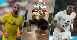 Mèo thần dự đoán tin vui cho Ghana ở CAN 2024