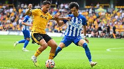 Nhận định dự đoán Brighton vs Wolves, lúc 02h45 ngày 23/1/2024 