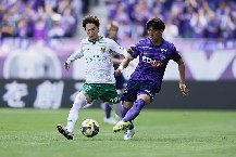 Nhận định, Soi kèo Tokyo Verdy vs Sanfrecce Hiroshima 17h00 ngày 23/8: Thêm một lần đau