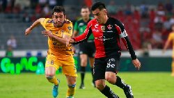 Nhận định Tigres UANL vs Atlas, 8h ngày 25/2