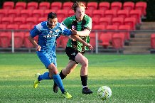 Nhận định, Soi kèo Ipswich Knights vs Centenary Stormers 17h30 ngày 24/6: Chiến thắng cách biệt