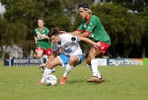 Nhận định, Soi kèo New Lambton vs Charlestown Azzurri 16h00 ngày 24/6: Chạm trán “kho điểm”