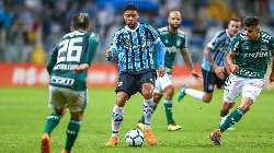 Nhận định, Soi kèo Gremio vs Palmeiras 7h30 ngày 26/11: Trả nợ đầy đủ