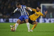 Nhận định, Soi kèo Brighton vs Wolverhampton, 21h00 ngày 26/10