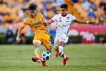 Nhận định Queretaro vs Tigres UANL, 10h00 ngày 29/1