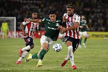 Nhận định, Soi kèo Palmeiras vs Junior FC 05h00 ngày 29/05: Chênh lệch đẳng cấp