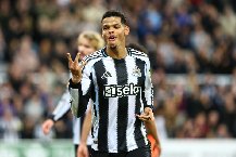 Soi kèo phạt góc Newcastle vs Tottenham, 3h ngày 30/10