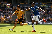 Nhận định dự đoán Wolverhampton vs Everton, lúc 22h00 ngày 30/12/2023 